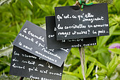 Label quotes, Garden decoration