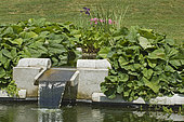 Contemporary fountain. Garden of the Zephyr. France