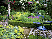 Flowering aromatic garden and water pump in summer, Mme Deferme private garden, Belgium
