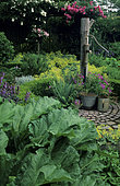 Ornate vegetable garden with Rhubarb (Rheum rhaponticum) and Water pump, Garden of Mr and Mrs Deferme, Belgium.