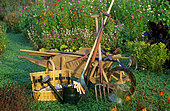 Gardening tools in a vegetable patch: wheelbarrow, watering can, fork ...