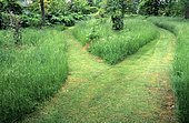 Mowed alley in a wild garden, Jardin de la Lande Chevrier, Cher, France