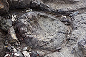 Pillow Lava, Geological Reserve, La Désirade, Guadeloupe