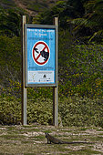 Sign not to feed the Iguanas, The Desirade, Guadeloupe