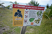 Information board on the Mancenillier (Hippomane mancinella), The Desirade, Guadeloupe