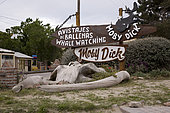 Whale's ribs and skull, whale watching note, UNESCO Natural World Heritage Site, Puerto Piramides, Golfo Nuevo, Peninsula Valdes, Chubut, Patagonia, Argentina, Atlantic Ocean