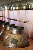 Rose distillery (Rosa damascena), Taif, Saudi Arabia