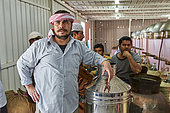 Rose distillery (Rosa damascena), Taif, Saudi Arabia
