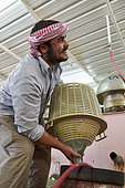 Rose distillery (Rosa damascena), Taif, Saudi Arabia