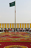 Flower carpet, rose festival (Rosa damascena), Taif, Saudi Arabia