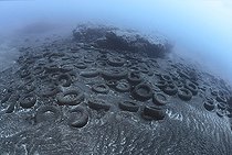 Photo denunciation, garbage in the sea, tire on submarine background. No matter the place if not the consequences.