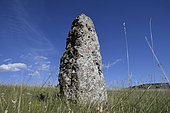 Menhir, Causse Méjean, Cevennes, France