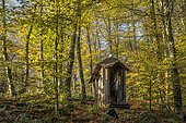 Small wooden shelter for dry toilets, garden in autumn in an undergrowth, Ariège, France