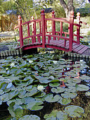Jardin japonais, Le Parc floral de la Court d'Aron, Saint-Cyr-en-Talmondais, Vendée, France