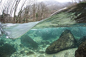 Underwater landscape, in mid-air photo mid-water, in the clear waters of the river "livelyt Guiers", Savoie, France
