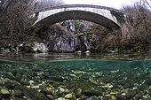 Underwater landscape, in mid-air photo mid-water, in the clear waters of the river "livelyt Guiers", Pont Saint-Martin, Savoie, France