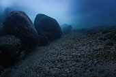 Underwater landscape, slow-moving, in the clear waters of the river "Dead Guiers", Dead Guiers Gorges, Isère, France