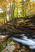 Autumn landscape in the Gorges du Guiers death, Isere, France