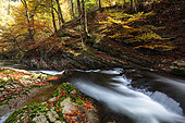 Autumn landscape in the Gorges du Guiers death, Isere, France