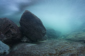 Underwater landscape, slow-moving, in the clear waters of the river "Dead Guiers", Dead Guiers Gorges, Isère, France