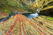 The Cheran gorges in autumn, River draining the Bauges massif, to Hery sur Alby, Savoie, Alps, France