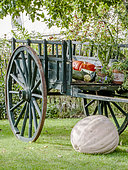 Autumn vegetable harvest, Jardin Insolite, Parc Floral Vincennes, Paris, France