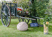 Autumn vegetable harvest, Jardin Insolite, Parc Floral Vincennes, Paris, France
