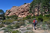 Return of Capu d'Orto through the scrubland and pink porphyry cliffs, Porto area, Corsica, France