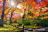 okochi'sanso path, Japan
