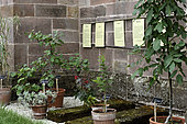 The Blble Garden on the side of the church, Notre Dame abbey founded in the 12th century, Autrey, Vosges, France