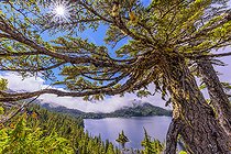 Bedwell Lake, Strathcona Provincial Park. Protected mountainous region, rich in lakes and dense forests, in the center of Vancouver Island, Vancouver Island, Canada
