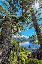 Bedwell Lake, Strathcona Provincial Park. Protected mountainous region, rich in lakes and dense forests, in the center of Vancouver Island, Vancouver Island, Canada