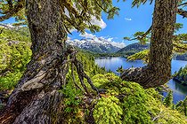 Bedwell Lake, Strathcona Provincial Park. Protected mountainous region, rich in lakes and dense forests, in the center of Vancouver Island, Vancouver Island, Canada