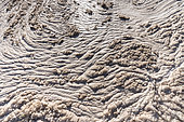 Ecume engendrée par la pollution due aux rejets d'usines de fabrication de papier dans le fleuve Tage, barrage d'Abrantes, Portugal