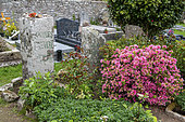 Jacques Prévert's grave in the cemetery of Omonville-la-Petite, spring, Manche, France