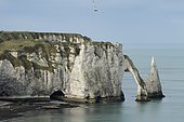 Aval Cliff in Etretat, Normandy, France