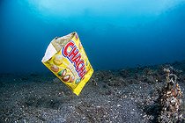 Plastic bag floating above seabed, Lembeh Strait, Indonesia