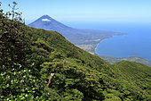 Lake Nicaragua, cloud forest, Concepción Volcano viewed from Maderas Volcano, Isla Ometepe, Nicaragua