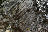 Rossberggesick Basalt columns, Massive Andesite Flow, Prismatic Flow, Rossberg Massif, Wegscheid, Haut Rhin, France