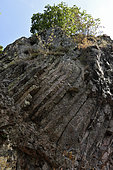 Rossberggesick Basalt columns, Massive Andesite Flow, Prismatic Flow, Rossberg Massif, Wegscheid, Haut Rhin, France