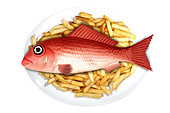 Plastic fish food. Concept image of a fish served on a plate with other real food elements. Plastic fish and ships. We are eating plastic on our seafood. Contaminated fish and shellfish have been found everywhere from Europe, Canada and Brazil to China – and plastic-eating fish are now showing up in supermarkets. While most plastic has been found in the guts of fish, and would therefore be removed before eating, some studies have warned that microplastics, particularly at the nanoscale, could transfer from the guts to the meat (and, of course, we eat some species of small fish and shellfish whole). There is growing concern about toxins leaching – laboratory tests have shown that chemicals associated with microplastics can concentrate in the tissues of marine animals. Some commercially important species have seen the majority of their population affected. It confirmed that contamination has been recorded in tens of thousands of organisms and more than 100 species. Last year, the European Food Safety Authority called for urgent research, citing increasing concern for human health and food safety “given the potential for microplastic pollution in edible tissues of commercial fish”. Portugal