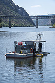 Barge avec des plongeurs travaillant au nettoyage du fond du Tage, à côté de Vila Velha de Ródão. Ce sont des boues de matière organique déposées sur le lit de la rivière pendant plusieurs années en raison du débit réduit. Ces matériaux proviennent des effluents d'eaux usées de plusieurs entreprises de fabrication, principalement des papeteries. Le flux du Tage ayant été considérablement réduit en Espagne en raison de son transfert vers le sud, ces matières organiques se sont accumulées au fil des années, formant une épaisse couche de matière organique dans le lit du fleuve qui a tué toute la vie aquatique. Pollution organique. Ces boues sont conditionnées dans des conteneurs souples sur la berge, puis transférées dans un endroit où elles peuvent être traitées correctement sans impact sur l'environnement. Vila Velha de Ródão, Portugal 2018