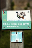 Marked Aubure discovery trail, the highest village in Alsace, capercaillie, Aubure, Haut Rhin, France