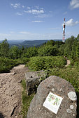 Antenna, transmitter of radio and television, rock with information panel on the flora, mountain ash, top of Donon, Hautes Vosges, Bas Rhin, France