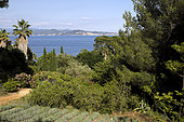 Parc du Mugel, Jardin Remarquable, Calanque du Mugel, the Ile Verte, La Ciotat, Bouches du Rhone, France