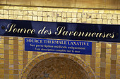 Panel, mosaics, the refreshment bar, Source des Savonneuses, the National bath, thermal establishment built in 1811 and restored in 1935, Plombieres les Bains, Vosges, France