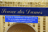 Panel, mosaics, the refreshment bar, Source des Dames, the National bath, thermal establishment built in 1811 and restored in 1935, Plombieres les Bains, Vosges, France