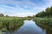 The audomarois marsh, summer, Saint-Omer, France
