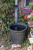 Water recovery valve with zinc flap on a gutter, summer, Moselle, France