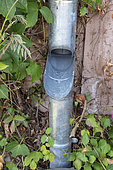 Water recovery valve with zinc flap on a gutter, summer, Moselle, France